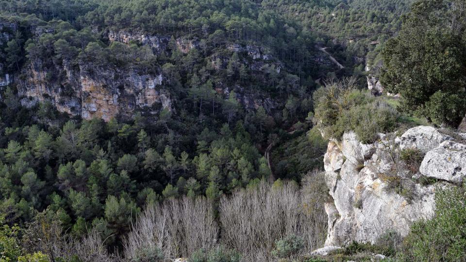 26.12.2016   Santa Perpètua de Gaià -  Ramon Sunyer