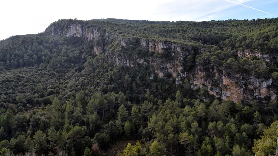 26.12.2016   Santa Perpètua de Gaià -  Ramon Sunyer