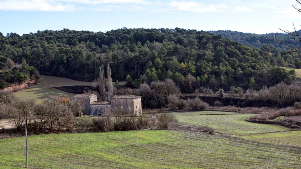 26.12.2016   Sant Gallard -  Ramon Sunyer