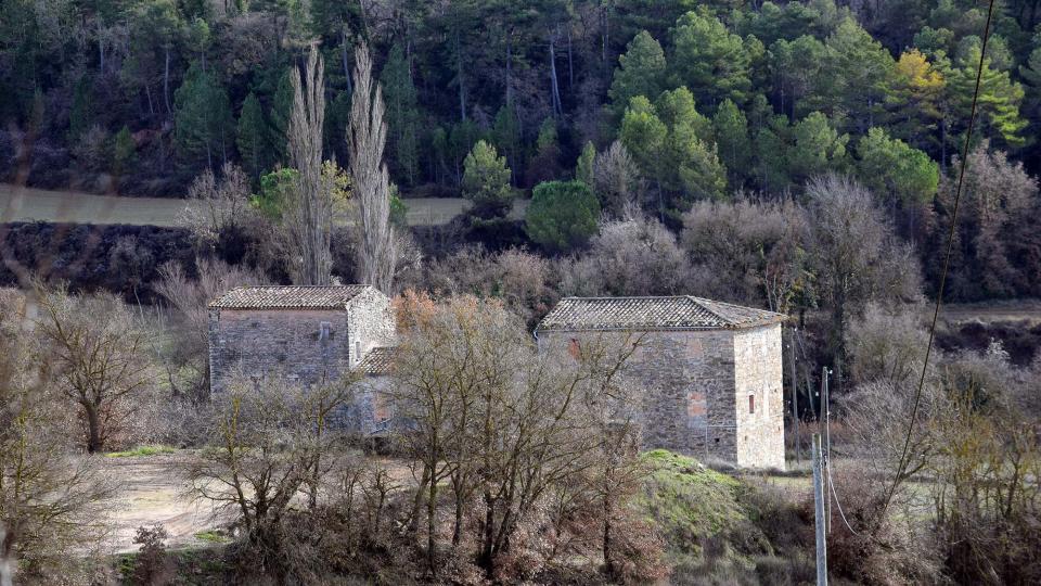 26.12.2016   Sant Gallard -  Ramon Sunyer