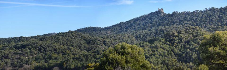 26.12.2016 Castell de Queralt  Bellprat -  Ramon Sunyer