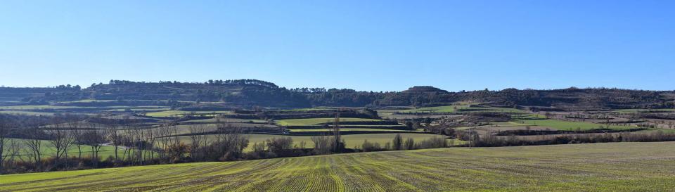 18.12.2016   Vall de l'Ondara -  Ramon Sunyer