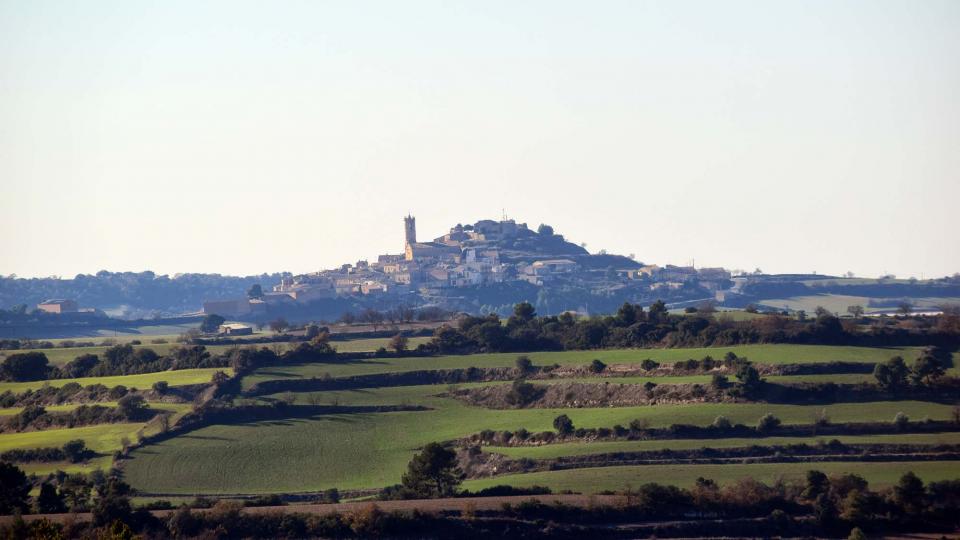 18.12.2016 Paisatge  Granyena de Segarra -  Ramon Sunyer