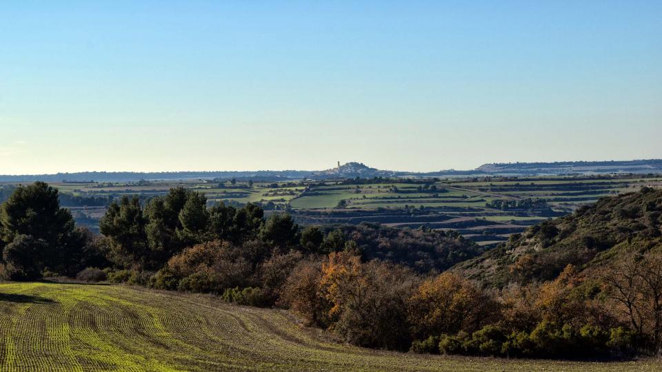 18.12.2016 Paisatge  Granyena de Segarra -  Ramon Sunyer