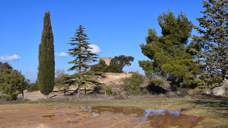 18.12.2016 Corral del monjo o Cabana dels Caçadors  Sant Pere dels Arquells -  Ramon Sunyer