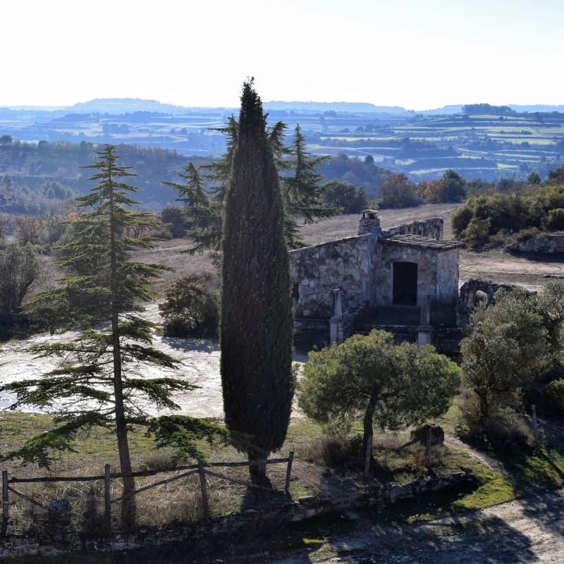 18.12.2016 Corral del monjo o Cabana dels Caçadors  Sant Pere dels Arquells -  Ramon Sunyer