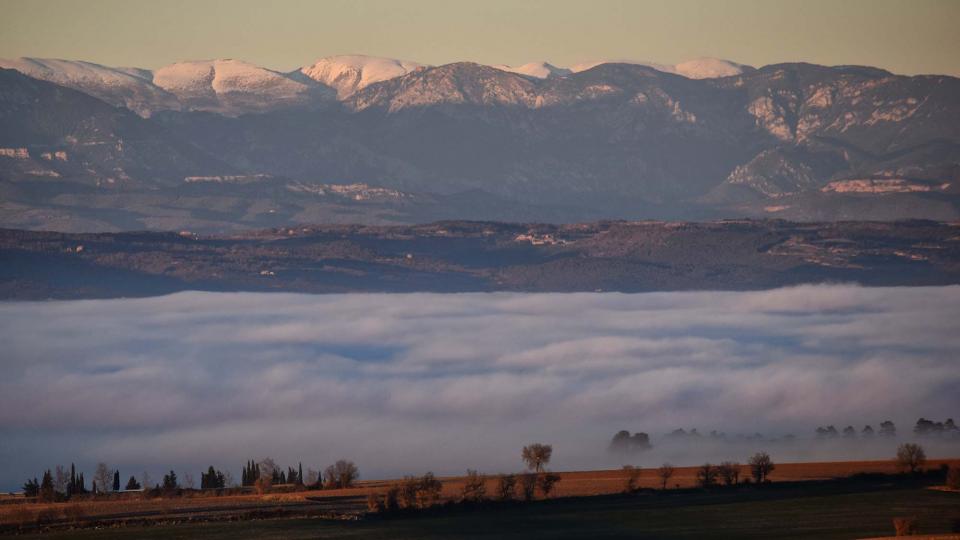 28.12.2016 Paisatge  Pujalt -  Ramon Sunyer