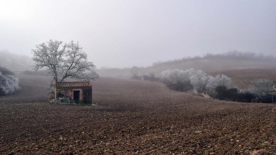 29.12.2016 Paisatge  Calaf -  Ramon Sunyer