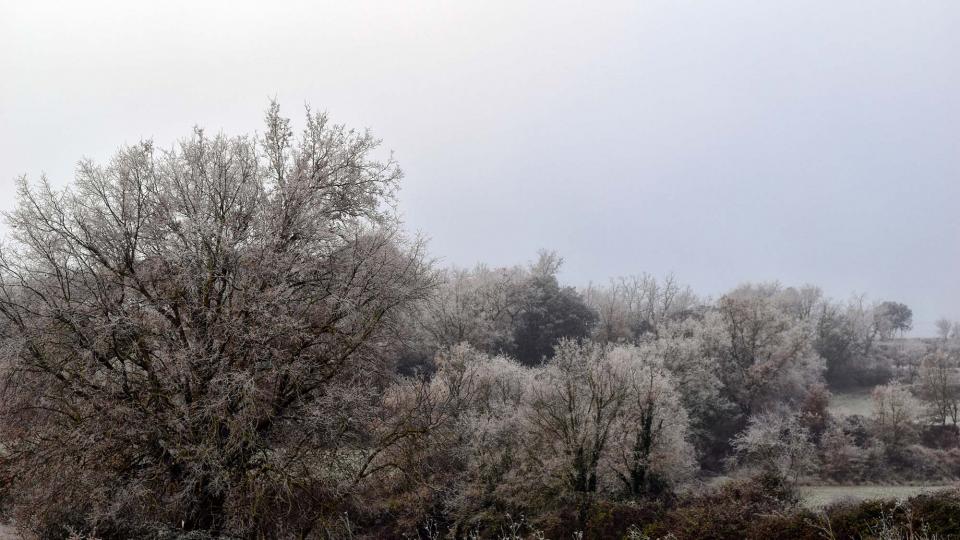 29.12.2016 Paisatge  Els Prats de Rei -  Ramon Sunyer