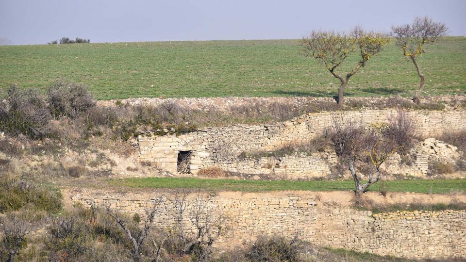 31.12.2016 Paisatge  Viver de Segarra -  Ramon Sunyer