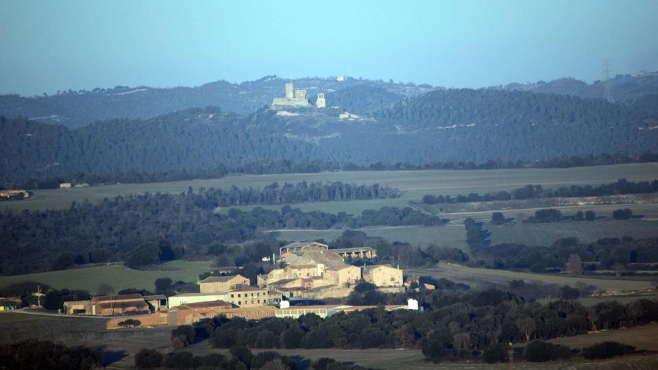 5.1.2017 Boixadors al fons  La Fortesa -  Ramon Sunyer