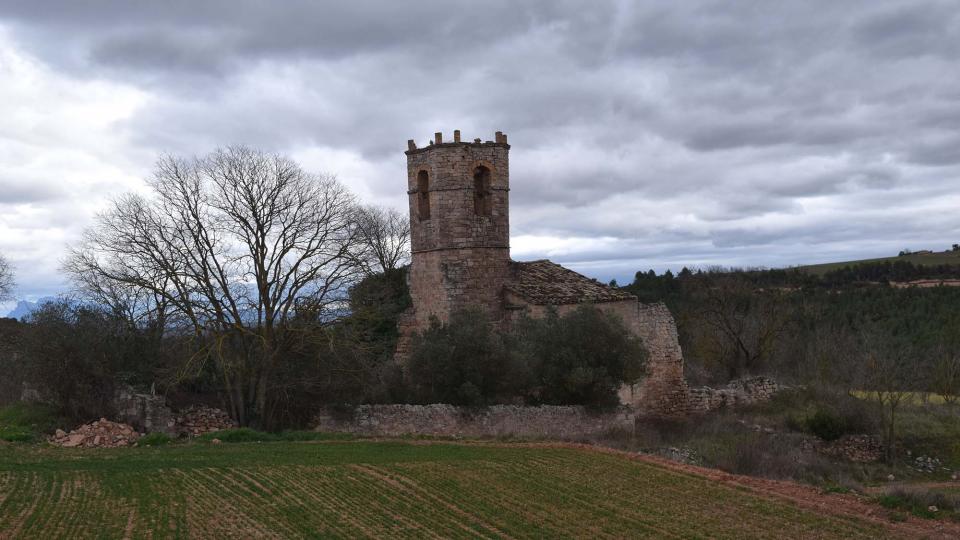 22.1.2017 - Església de Sant Martí - Albarells - Ramon Sunyer