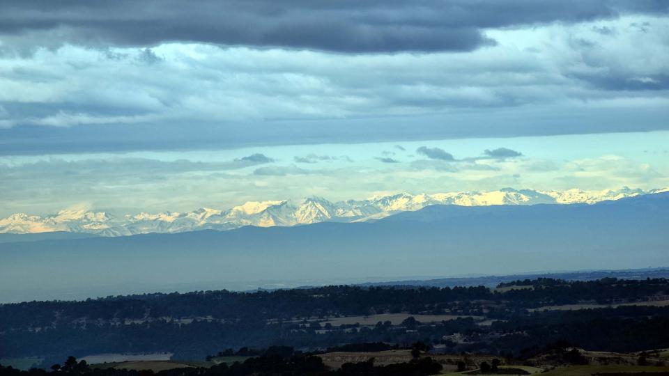 22.1.2017 Pirineu  Segarra -  Ramon Sunyer