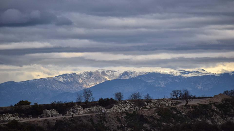 22.1.2017 Pirineu  Gospí -  Ramon Sunyer