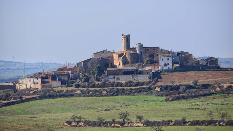 6.1.2017 Bellver d'Ossó - Ramon Sunyer