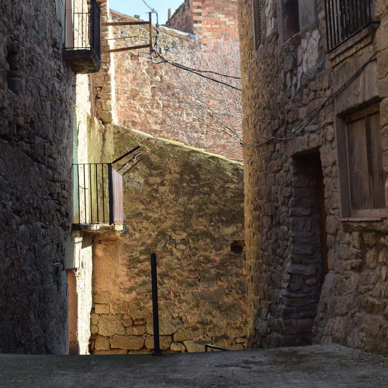 6.1.2017 Bellver d'Ossó - Ramon Sunyer