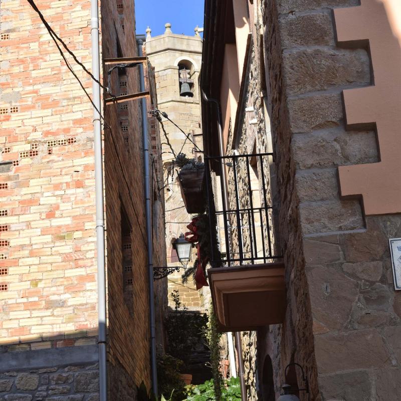 6.1.2017 Bellver d'Ossó - Ramon Sunyer