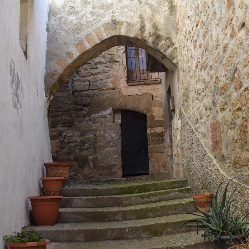 6.1.2017 Bellver d'Ossó - Ramon Sunyer