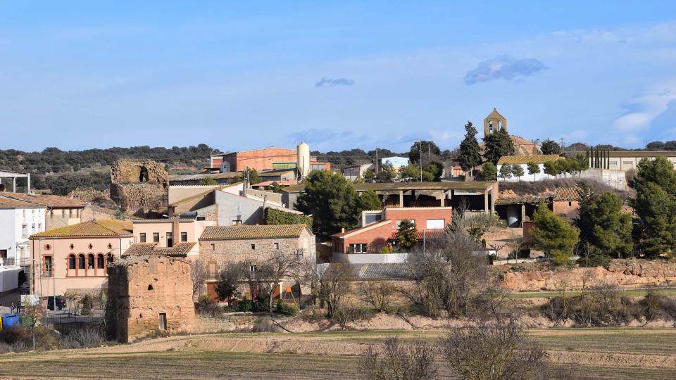 15.1.2017 Castellnou d'Ossó - Ramon Sunyer