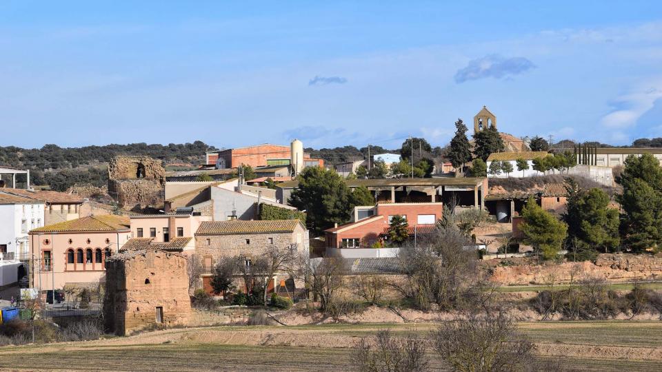 15.1.2017   Castellnou d'Ossó -  Ramon Sunyer