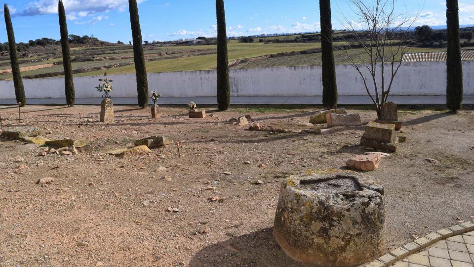 15.1.2017 cementiri  Castellnou d'Ossó -  Ramon Sunyer