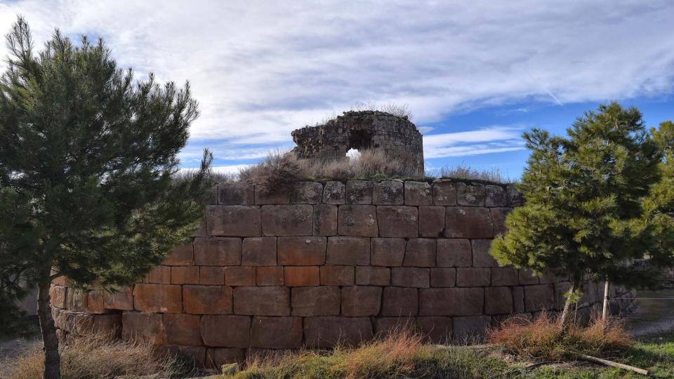 15.1.2017   Castellnou d'Ossó -  Ramon Sunyer