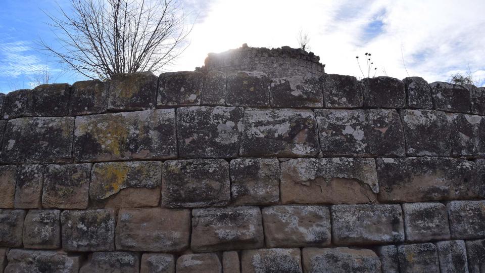 15.1.2017 Mur romà  Castellnou d'Ossó -  Ramon Sunyer