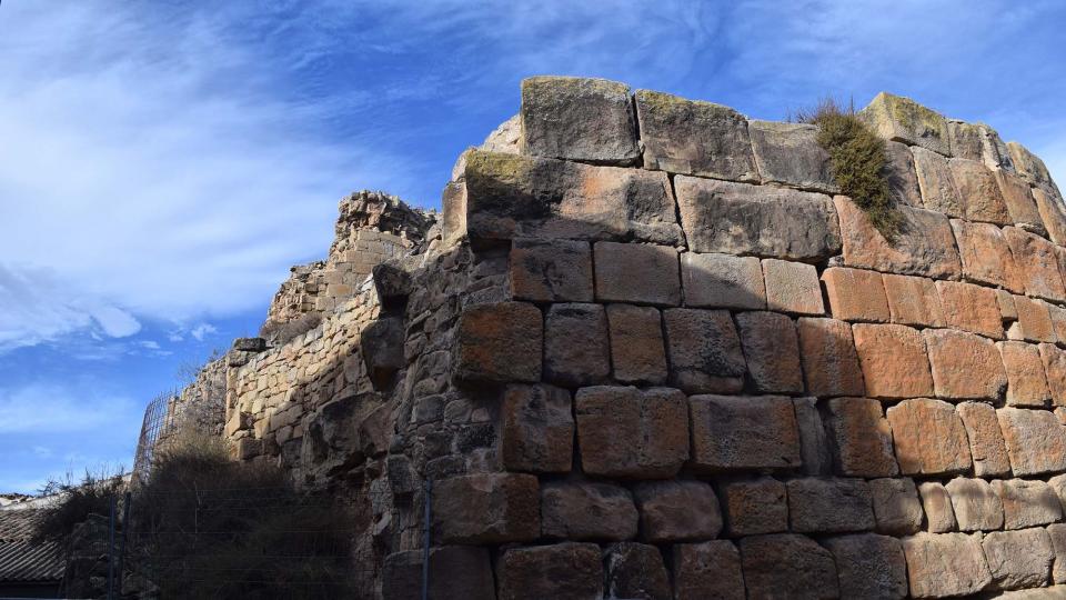 15.1.2017   Castellnou d'Ossó -  Ramon Sunyer