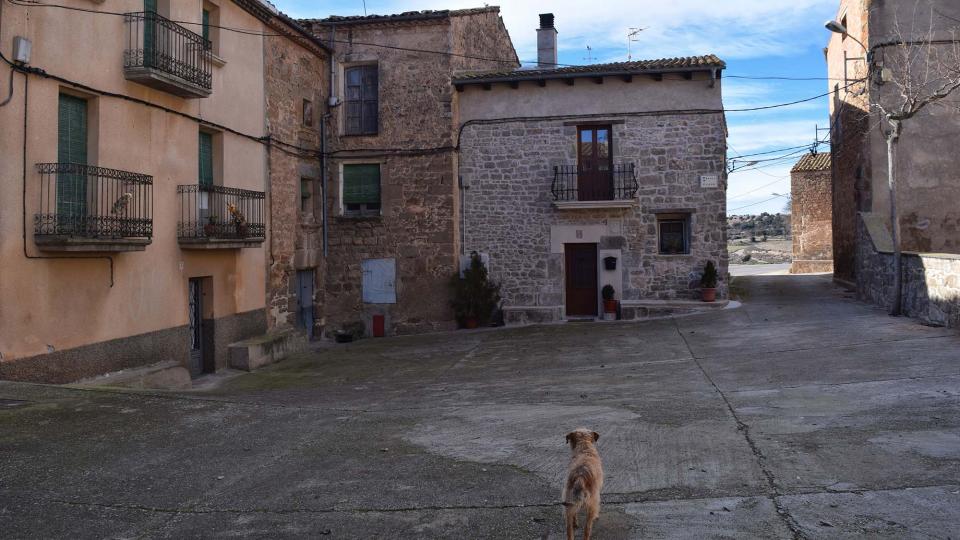 15.1.2017 plaça major  Montfalcó de Sió -  Ramon Sunyer