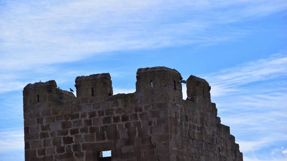 15.1.2017 Castell  Montfalcó de Sió -  Ramon Sunyer
