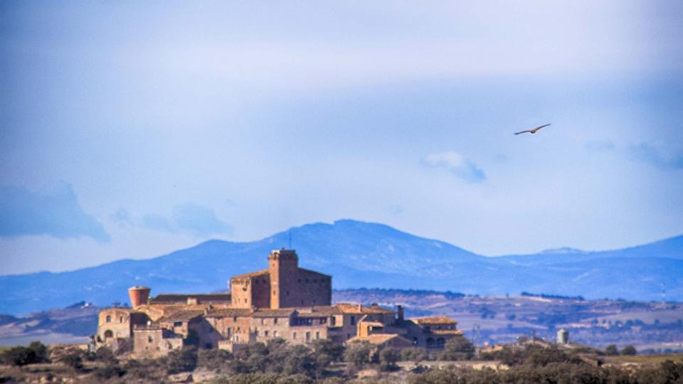 15.1.2017 Paisatge  L'Aranyó -  Ramon Sunyer