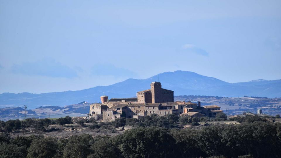 15.1.2017 Paisatge  Montcortès de Segarra -  Ramon Sunyer