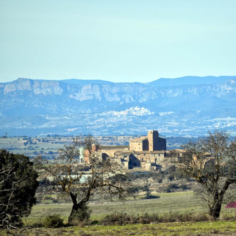 15.1.2017 Paisatge  L'Aranyó -  Ramon Sunyer