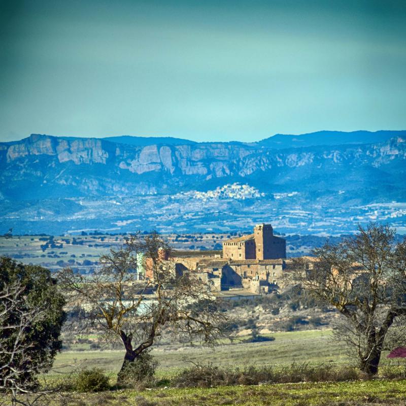 15.1.2017 Paisatge  L'Aranyó -  Ramon Sunyer