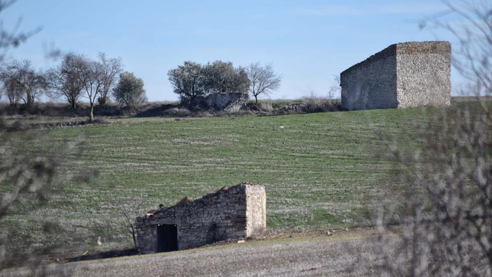 15.1.2017 Paisatge  La Cardosa -  Ramon Sunyer