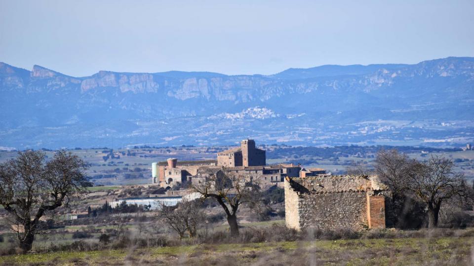 15.1.2017 Paisatge  L'Aranyó -  Ramon Sunyer