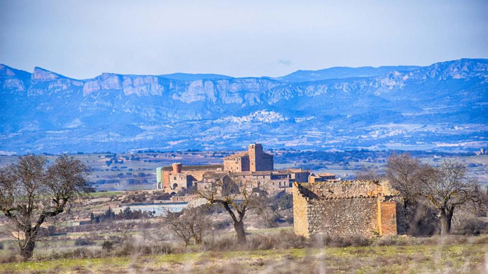 15.1.2017 Paisatge  L'Aranyó -  Ramon Sunyer