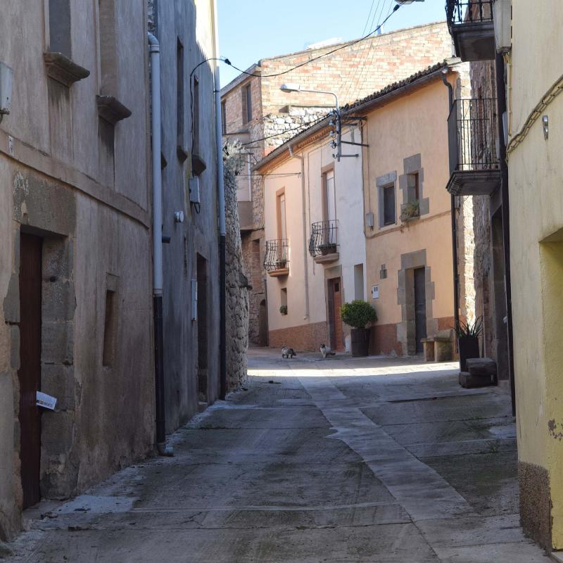 carrer 6.1.2017 carrer La Figuerosa - Ramon Sunyer