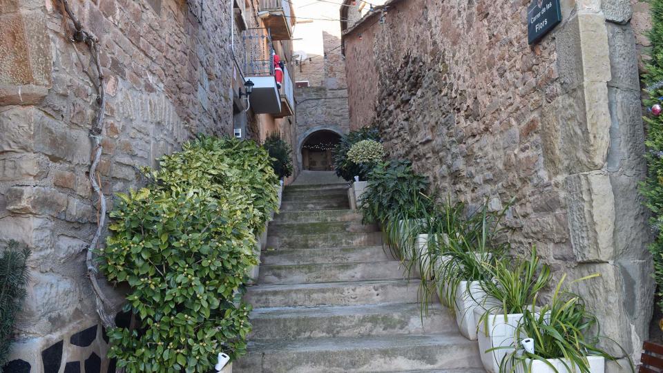 carrer de les flors 6.1.2017 carrer de les flors Riudovelles - Ramon Sunyer