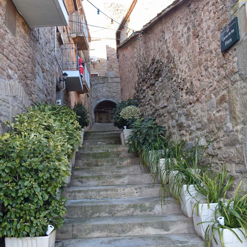 carrer de les flors 6.1.2017 carrer de les flors Riudovelles - Ramon Sunyer