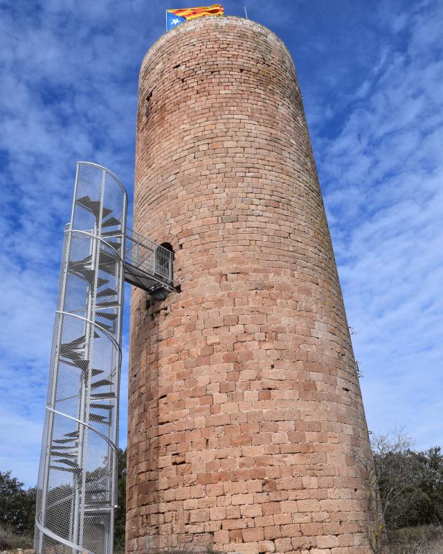 29.1.2017 Torre de la Manresana  La Manresana -  Ramon Sunyer