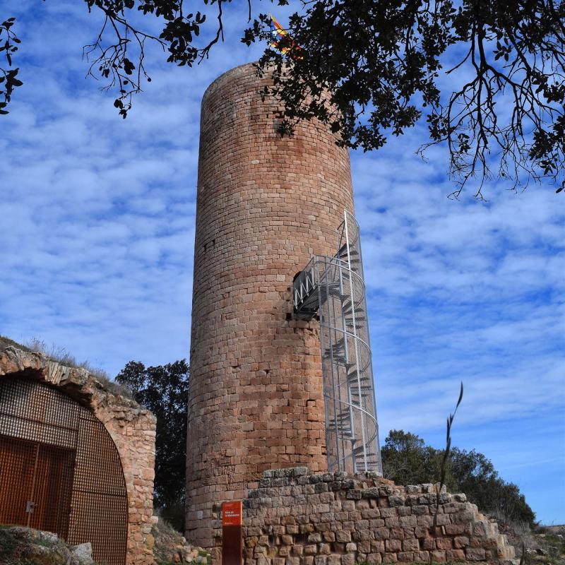 29 de Gener de 2017 Torre de la Manresana  La Manresana -  Ramon Sunyer