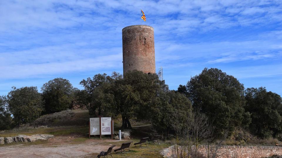 29 de Gener de 2017 Torre de la Manresana  La Manresana -  Ramon Sunyer