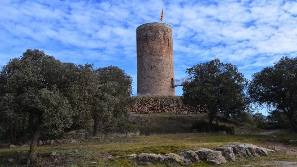 29.1.2017 Torre de la Manresana  La Manresana -  Ramon Sunyer