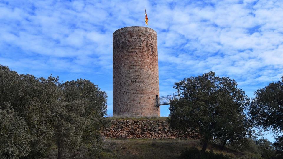 torre 29.1.2017 torre La Manresana - Ramon Sunyer