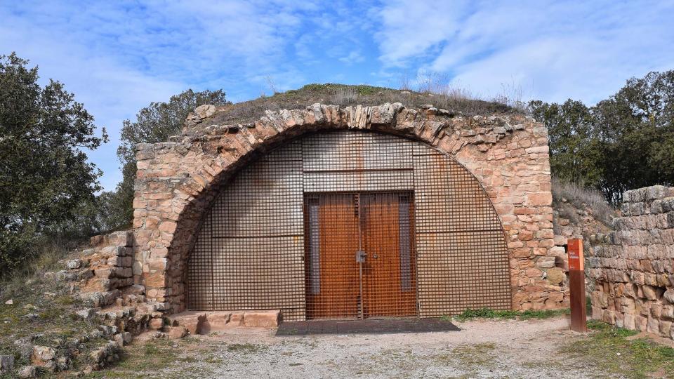 castell 29.1.2017 castell La Manresana - Ramon Sunyer