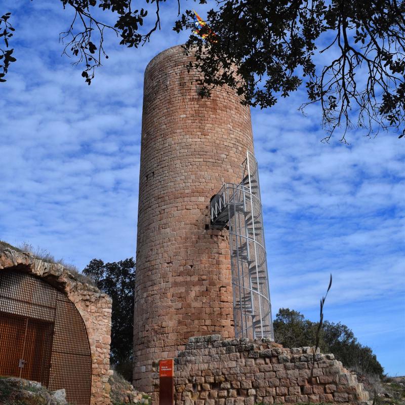 torre 29.1.2017 torre La Manresana - Ramon Sunyer