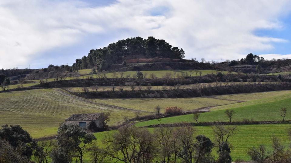 5.2.2017 Vall del Vergós  Rubinat -  Ramon Sunyer