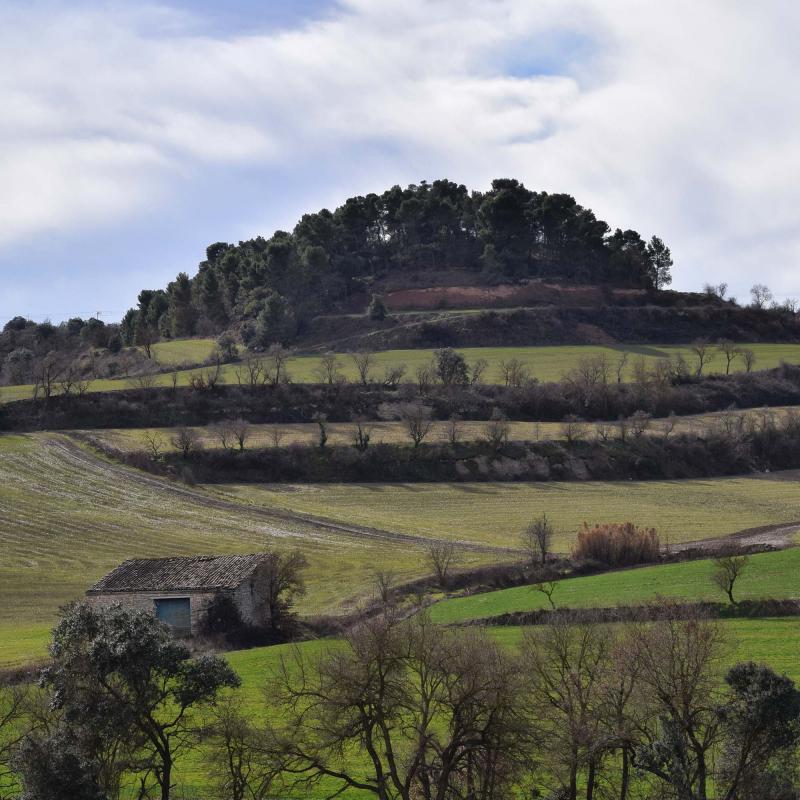 5.2.2017 Vall del Vergós  Rubinat -  Ramon Sunyer