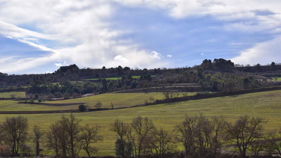 5.2.2017 Vall del Vergós  Montfalcó Murallat -  Ramon Sunyer